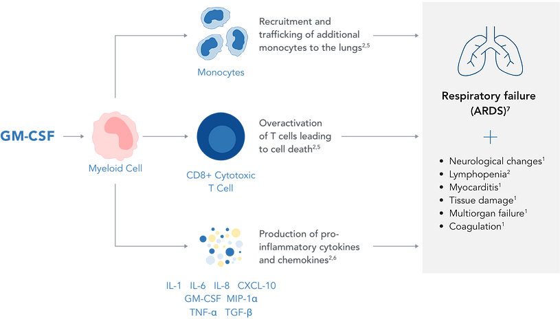 Diagram showing how GM-CSF signaling leads to hyperinflammation and associated complications