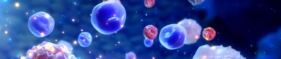 Myeloid cells involved in COVID-19
