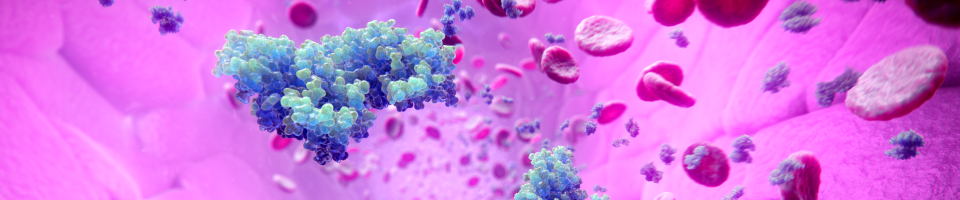 GM-CSF molecule in blood stream